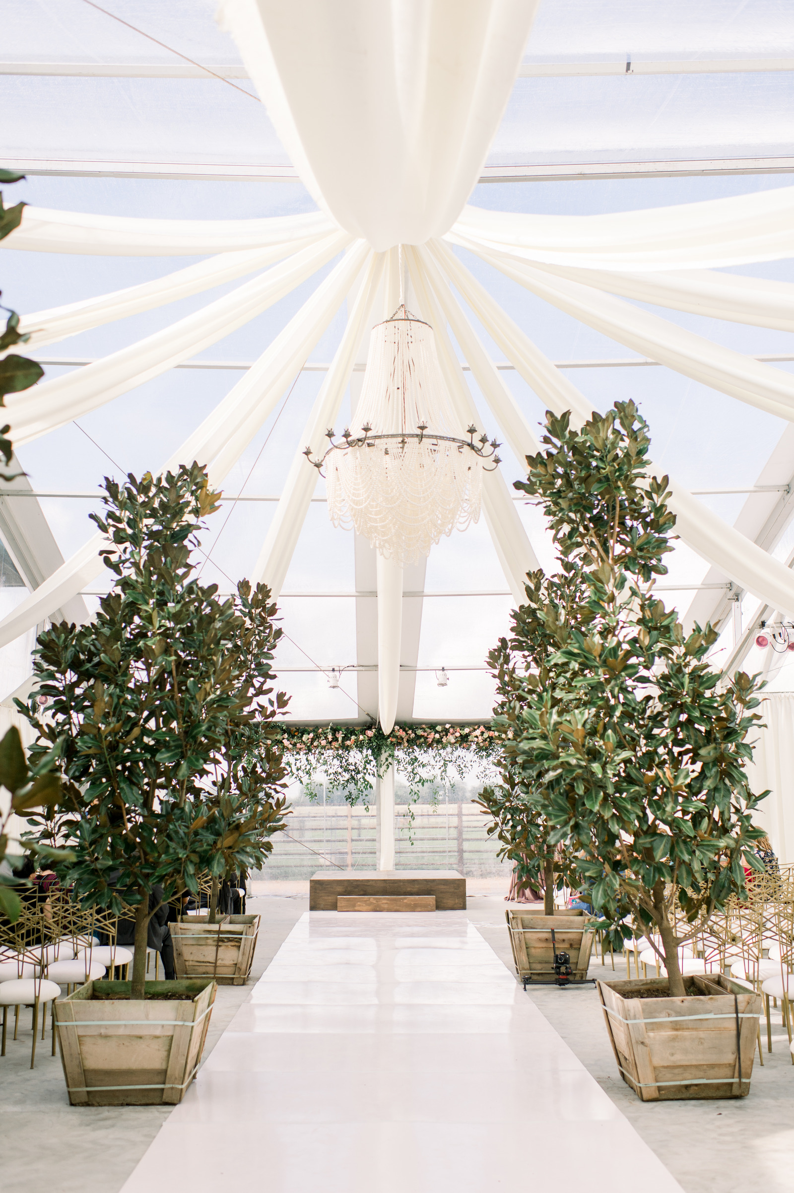 Johanna Terry Events